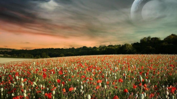 机器人「起飞」元年：热钱、故事与透支的未来_融资_人形_基金